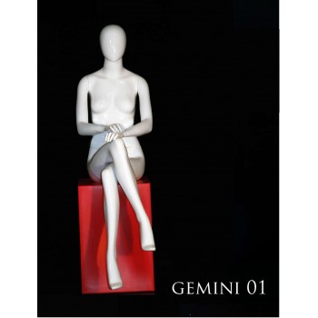 2.GEMINI 01